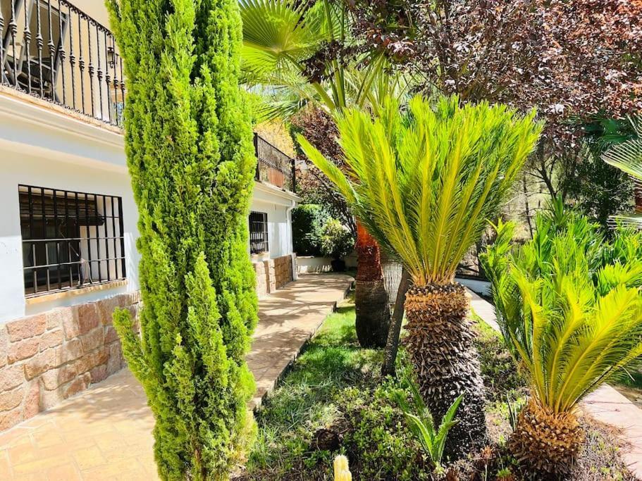 Villa ALJARAL, Espectacular,piscina,chimenea, climatización, wifi Córdova Exterior foto